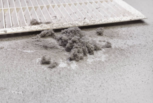 Best HVAC System Cleaning  in Meridianville, AL
